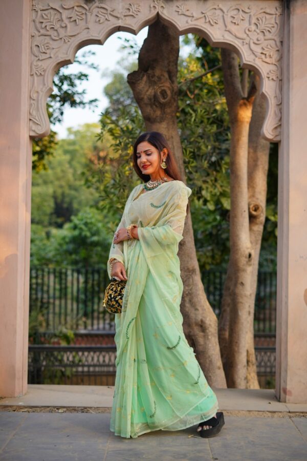 Hand Embroidered Diamond Chiffon Saree with Delicate Jaal Work – Elegant Pastel Green Drape
